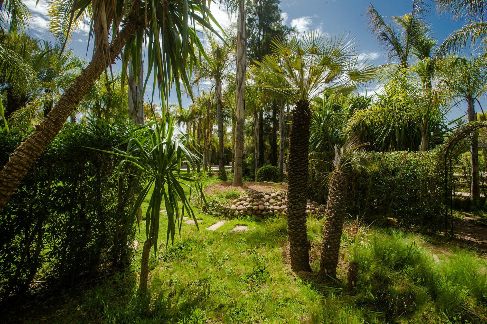 Ouled Jelal Palais Mirage D'Atlas, Hotel De Luxe & Spa מראה חיצוני תמונה